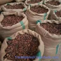 Export African Cocoa Powder Supplier | Source Premium cocoa Sudan USA, UK, South Africa +27631501216