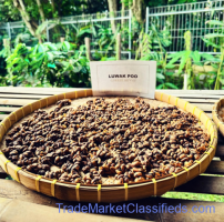 Export Kopi Luwak Organic Arabica Coffee Beans. ROASTED, GREEN beans  +27631501216