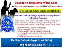 Most Powerful Revenge Spells to Inflict Serious Harm on Someone for Their Deeds +27836633417