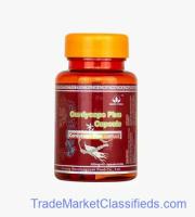 Green World Cordyceps Plus Capsule in Pakistan - 03008786895