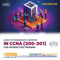 CCNA Certification: A Must-Have for Aspiring Network Professionals