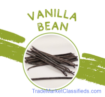 We Exports of vanilla beans to South Africa, New Zealand, Japan, Israel, UAE, Italy +27631501216