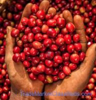 Buy Premium Coffee Beans From the Leading International Suppliers and Wholesalers +27631501216